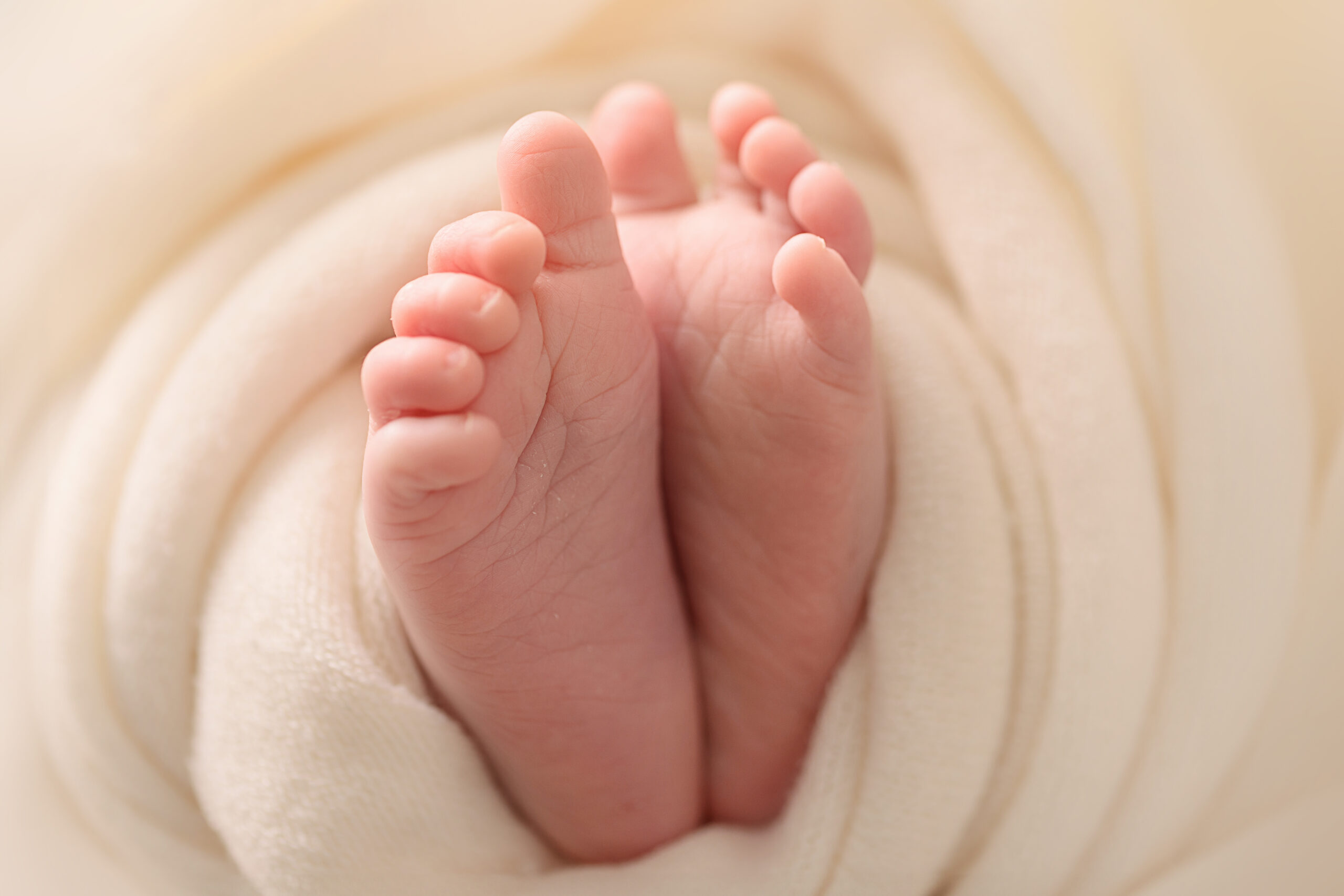 Newbornfotograaf te zevenbergen. studio of aan huis